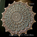 Krishala pattern 