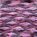 Lupi Loop pattern