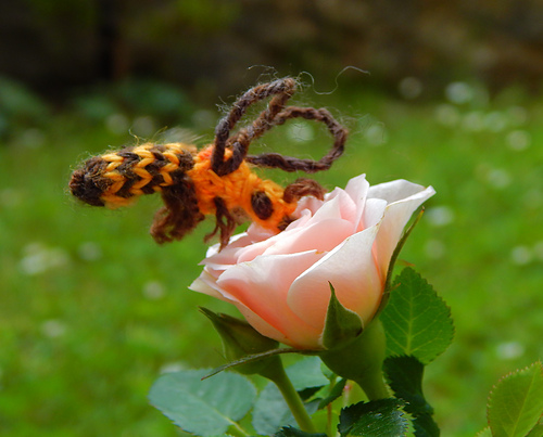 Little Bee photo 1