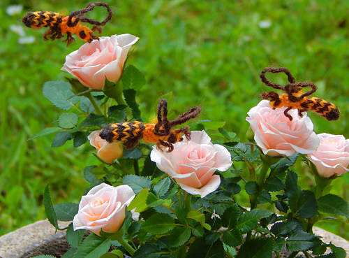 Little Bee photo 2