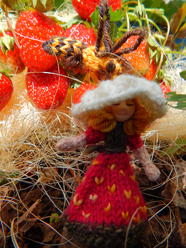 Little Bee photo 7