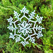 Heart of a Snowflake pattern 