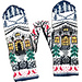 Winter in the Valley Mittens pattern 