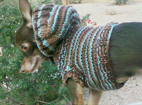 Chihuahua Hoodie photo 2