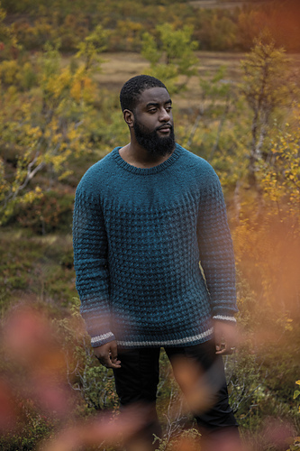 Glaciär - pullover men photo 6
