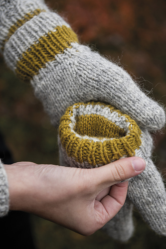 Glaciär - double mittens photo 4