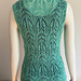 Bird of Paradise Vest pattern 