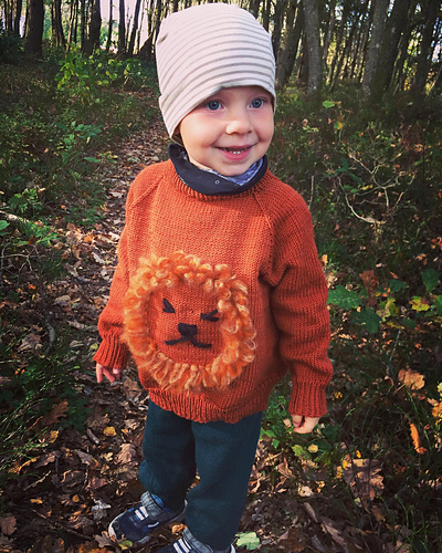 Leosex Genser - Knit Colorful , Gudrun Loennecken