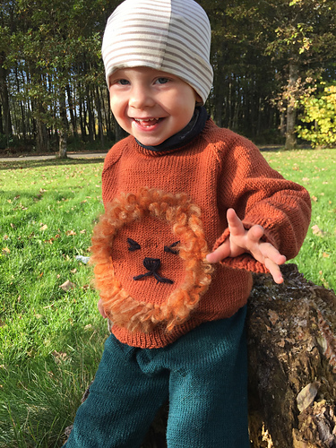 Leosex Genser - Knit Colorful , Gudrun Loennecken