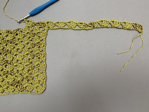Lacy Crochet Genser Top - Wannipa Yunker
