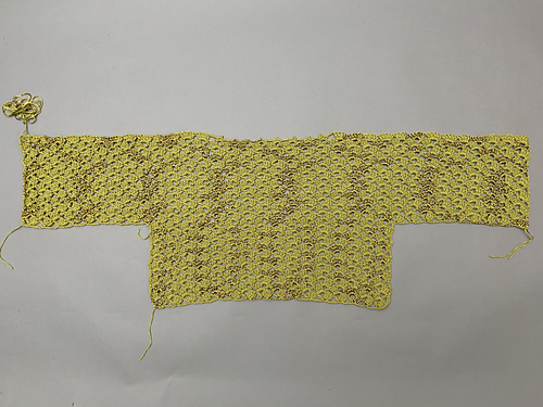 Lacy Crochet Sweater Top photo 10