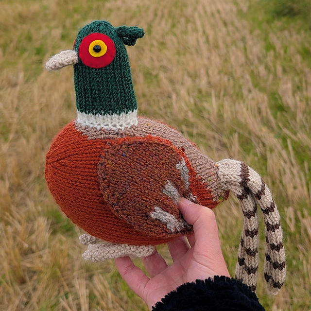 Angus the Pheasant