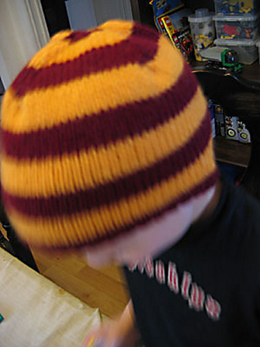 House Hats (Beanie and Beret) photo 2