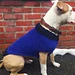 Sweater Shel Shoko pattern 