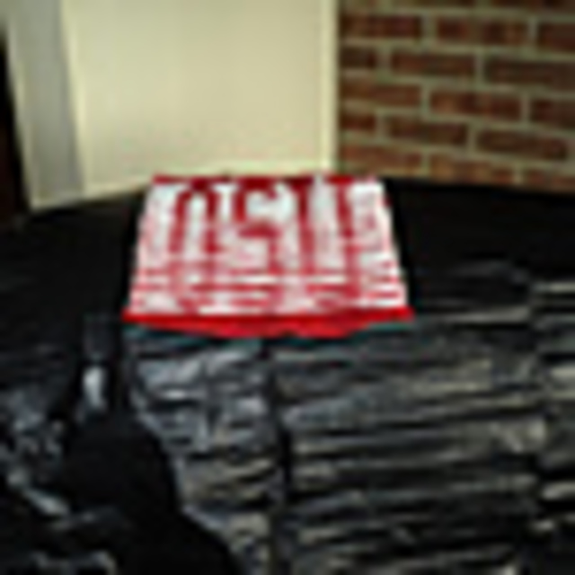 OSU illusion/shadow dishcloth ( Ohio State Universtity)
