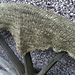 Green Grass of Spring Shawl photo 3