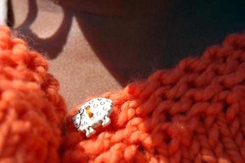 The Cali Cardi photo 3