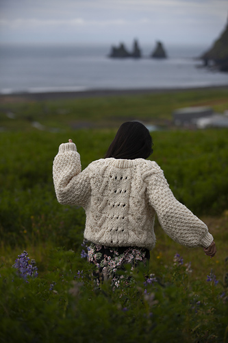 Ginkgo Pullover
