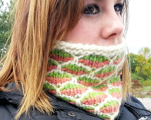 Parula Cowl photo 1