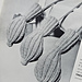 Style No. 3491 pattern