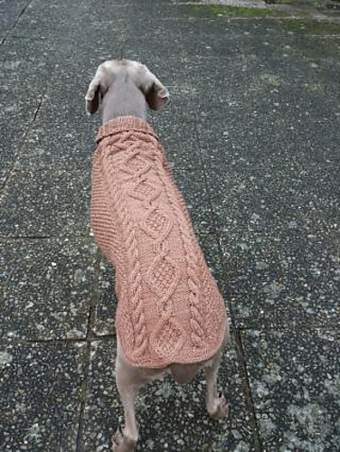 Hundepulli Maxi - dog sweater photo 9