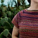 Cactus Garden Raglan pattern 