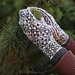 Metelitsa Mittens pattern 
