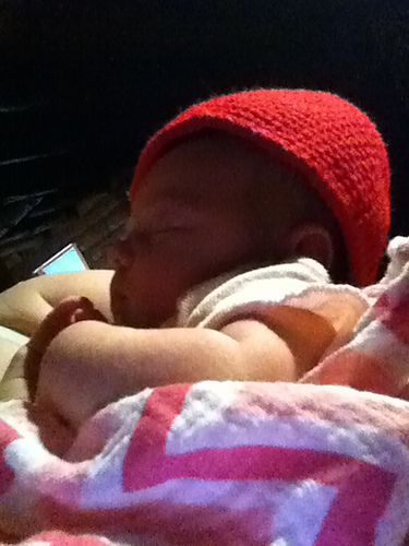 Baby Fez photo 2