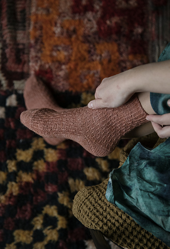 Gerste - Verena Cohrs