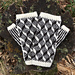 Steinberr pattern