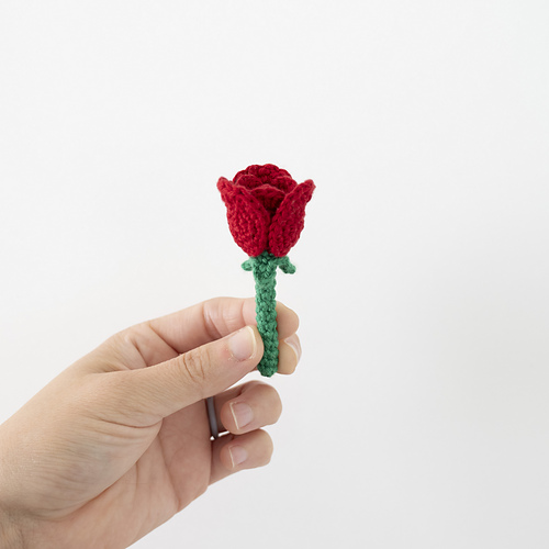 Mini Rose