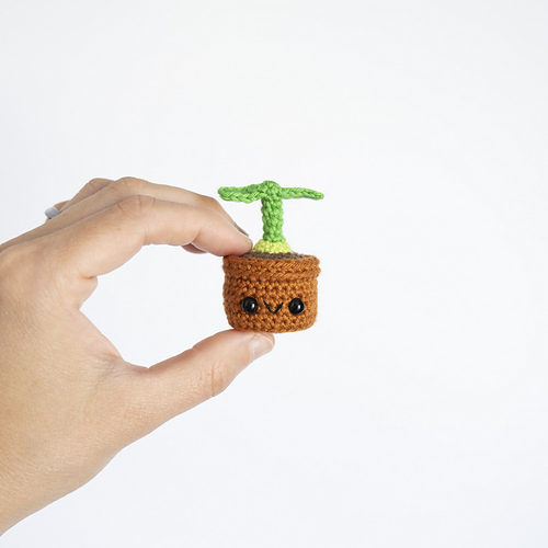 Mini Potted Plant