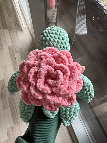 Rose Turtle photo 3
