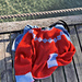 Fiori Sweater pattern 