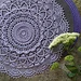 Brenda pattern 