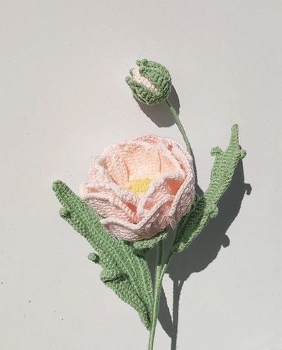 Flower: Ranunculus