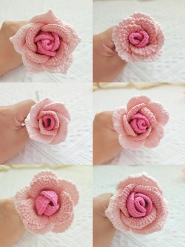 Flower: Rose Collection