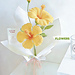 Flower: Hibicus pattern