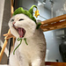 Cat Witch Hat pattern