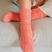 Gaura Socks pattern 