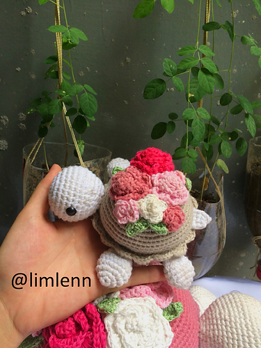 Skilpaddeturter - Lim lenn