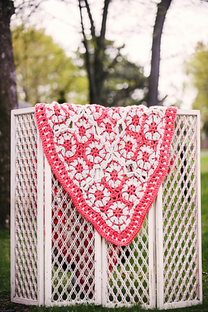 Parisian Champagne Throw