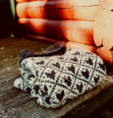 Svartulv - Linka Neumann