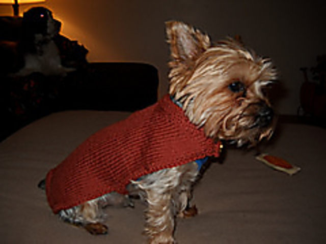 Cape Style Dog Sweater
