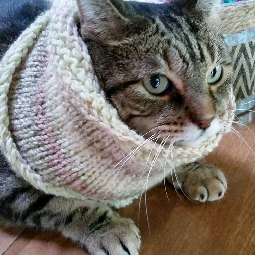 Basic Cowl photo 1
