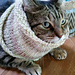 Basic Cowl pattern 
