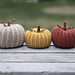 Little Rustic Pumpkin photo 4