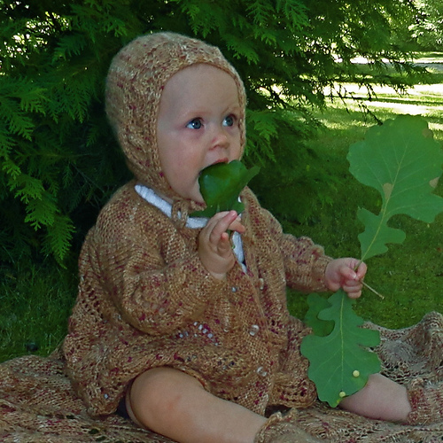 Little Acorns Sweater photo 3
