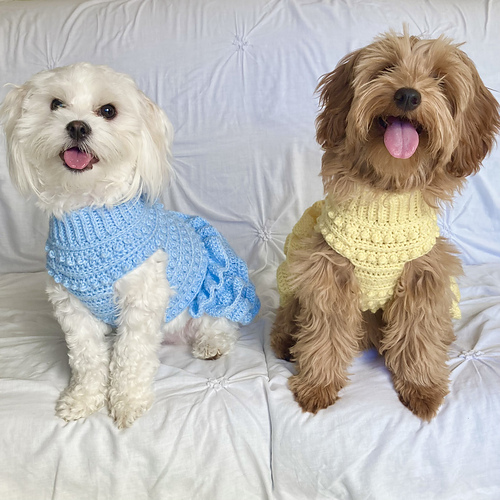 Lottie’s Spotty Doggy Dress - Beth Derham