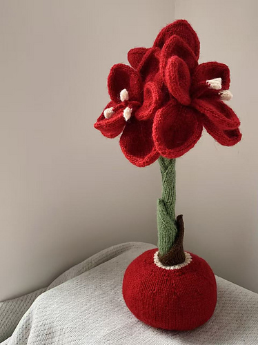 Amaryllis